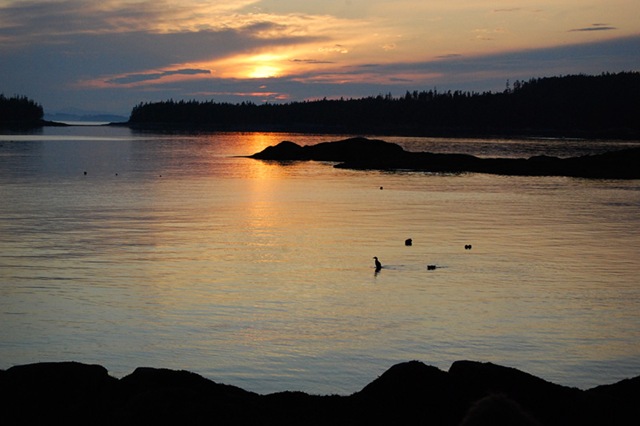 [DSC_0601 copy 2[4].jpg]